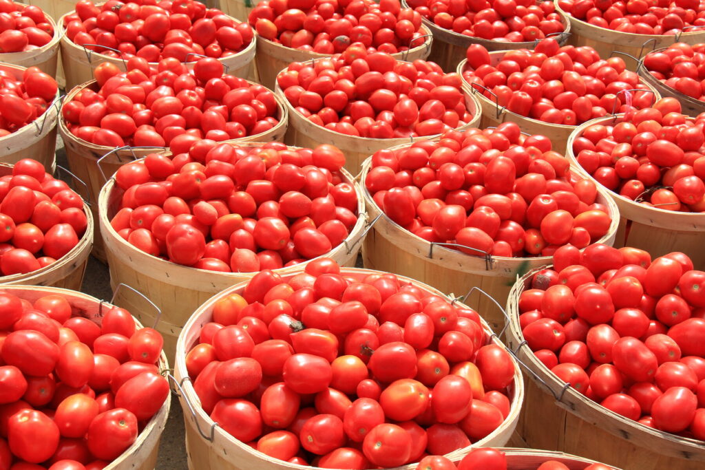Buy Fresh Tomatoes in Canada