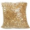 Buy Honey Beans (50lbs) in Canada