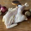 Buy Stewing Hen (2pcs, 10kg, 20kg) in Canada