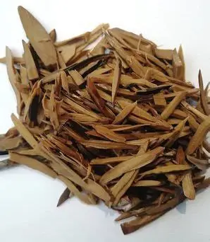 Buy Ugba (African Oil Bean) in Canada