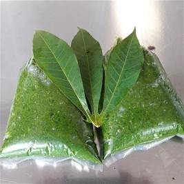 Buy Cassava Leaves (500g & 1kg) in Canada